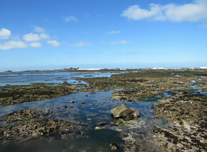 Tidepools